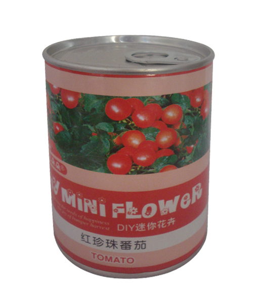 番茄種子罐
